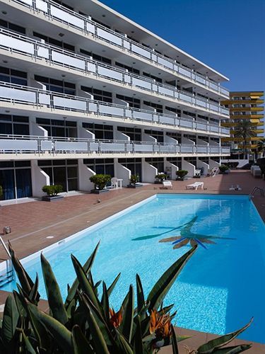 Appartement Strelitzias
