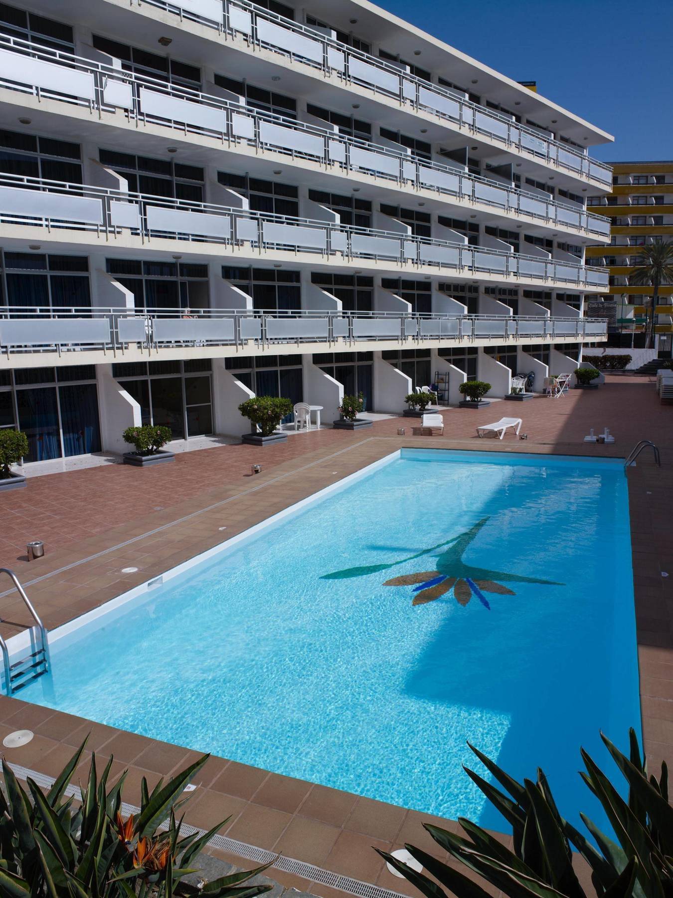Appartement Strelitzias *